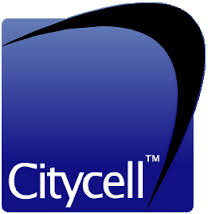 Assignment on Citycell