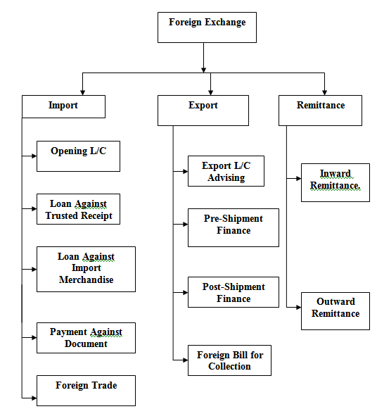 Functions of Foreign Exchange of MTBL