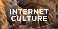 Internet Culture and its Impact