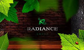 Performance Evaluation of Radiance Group