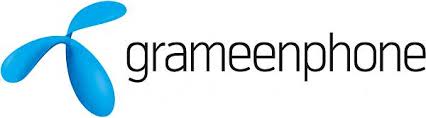 The Investment Policy of Grameenphone Ltd