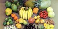 Major Fruits Production of Bangladesh
