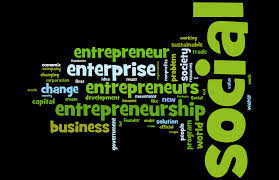 Who are Social Entrepreneurs