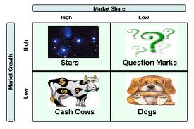 BCG Portfolio Model