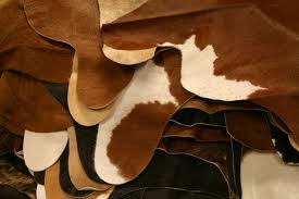 Histological Structure of Cowhide