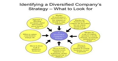 Evaluating the strategies of Diversified Companies