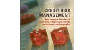 Analysis of Credit Risk Management