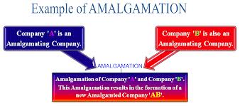Method of Accounting for Amaigamation