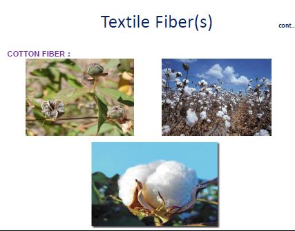 Textile Fiber 1