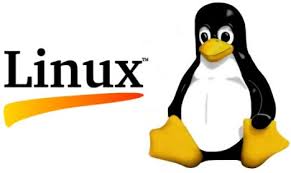 Client Server Setup and Configuration Using Linux.
