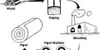 Pulp and Paper Making Process