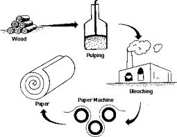 Pulp and Paper Making Process