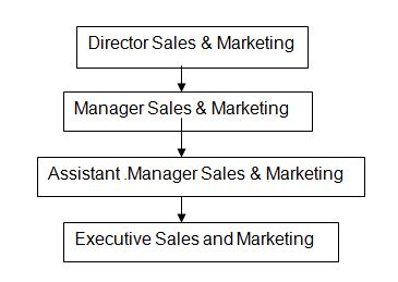Director Sales and Marketing