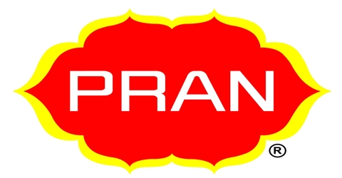 Term Paper on Financial System of Pran Group