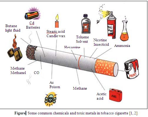 toxic metals in tobacco cigarette
