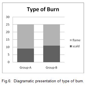 Diagramatic presentation of type of burn