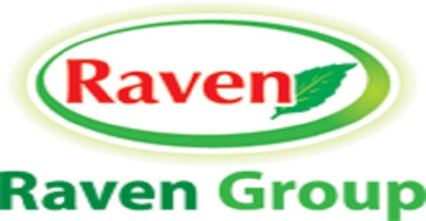 Supply Chain Strategies of Raven Agro Chemicals Limited
