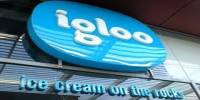 Marketing Plans of Igloo
