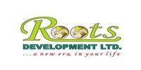 Marketing Activities of Roots Development Limited