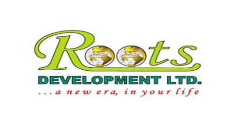 Marketing Activities of Roots Development Limited