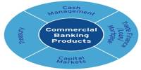 Commercial Banking Operations in Bangladesh