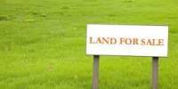 Why Invest in Land?