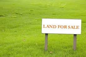 Why Invest in Land?