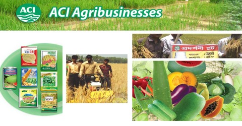 Marketing Practices of ACI Agribusinesses