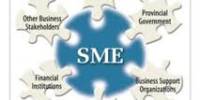 Define and Discuss Small and Medium Enterprise