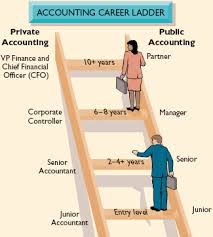 Article on Introduction to a Career in Accounting