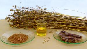 Assignment on Industrial Uses of Linseed Oil