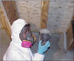 Advantages of Mold Remediation
