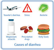 Herbal Remedies to Prevent Travelers Diarrhea