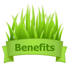 Article on How Sod Benefits the Environment