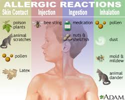 Problems Happens During an Allergic Reaction