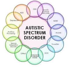 Most Common Autism Spectrum Disorder Symptoms