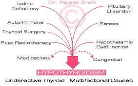 Explain Causes of Hypothyroidism