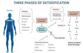 How Detoxification Helps for Overall Health
