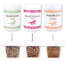 Article on Guide to Equine Supplements