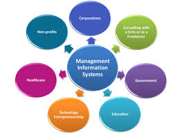 Limitations of Management Information Systems