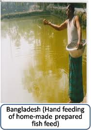 Marketing Practices of Fish Feeds in Bangladesh