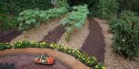 Importance of Topsoil, Fertilizer, and Pest-Control in Organic Gardening