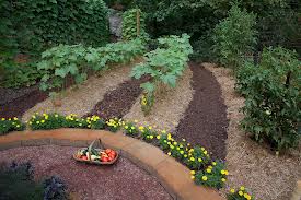 Importance of Topsoil, Fertilizer, and Pest-Control in Organic Gardening