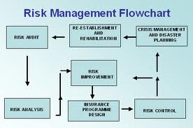 IT Risk Management Strategy