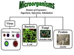 Growth Requirements for Microorganisms