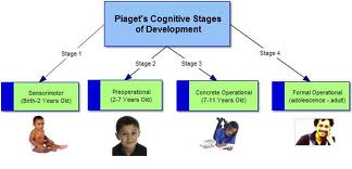 Cognitive Development Under Age of Twelve
