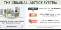 Discuss on Criminal Justice System