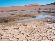 Desertification is the Process by which Land becomes Desert