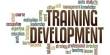 Term Paper on Employees Training and Development