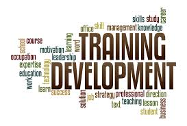Term Paper on Employees Training and Development